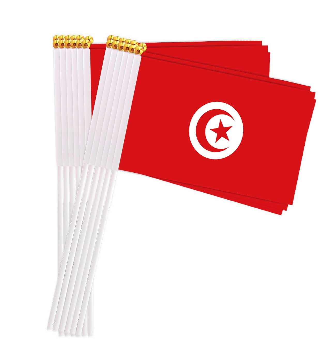 Tunisia Hand Flags (25-Pack)