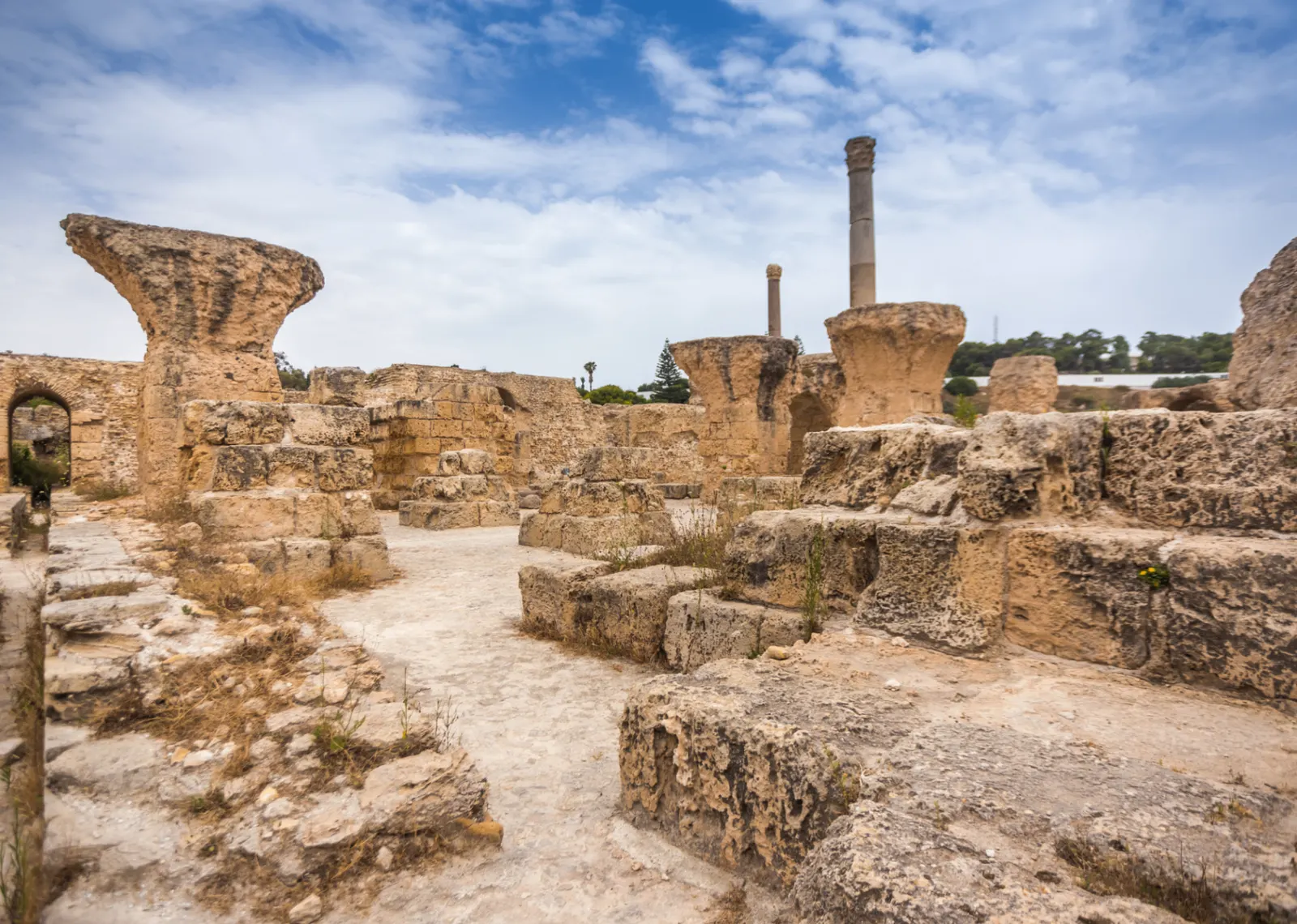 Roman ruins at Carthage near Tunis