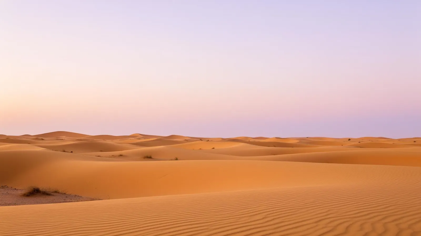 Tunisia Weather Month by Month: Temperatures, Sea, Rainfall