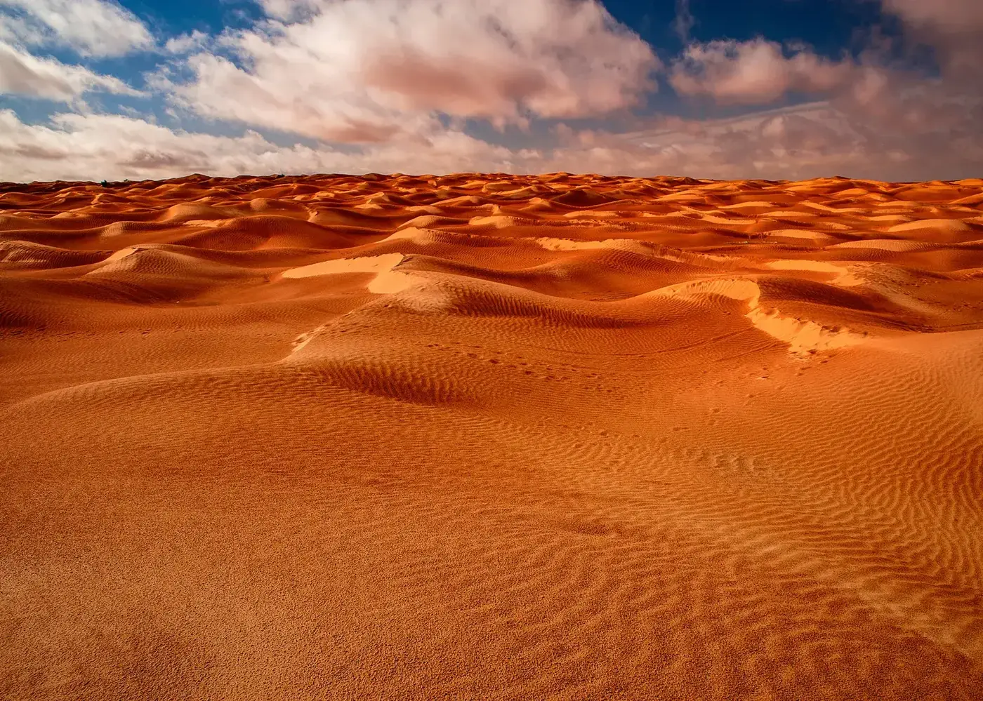 Sahara dunes